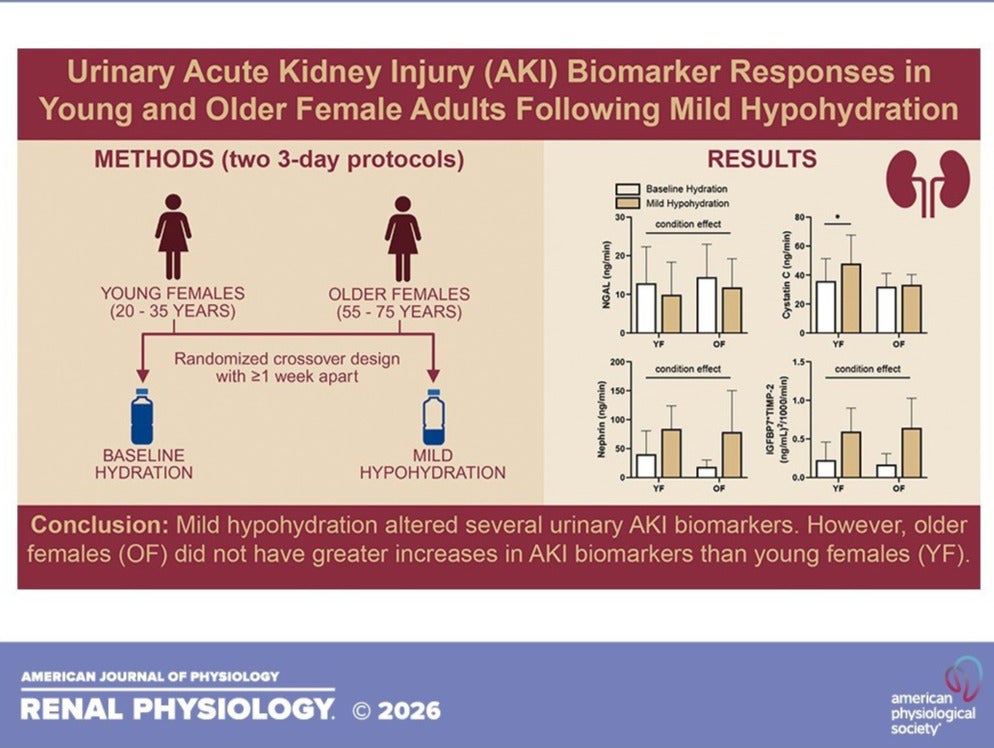 Acute Kidney Injury Biomarker Responses in Young and Older Female Adults Following Mild Hypohydration