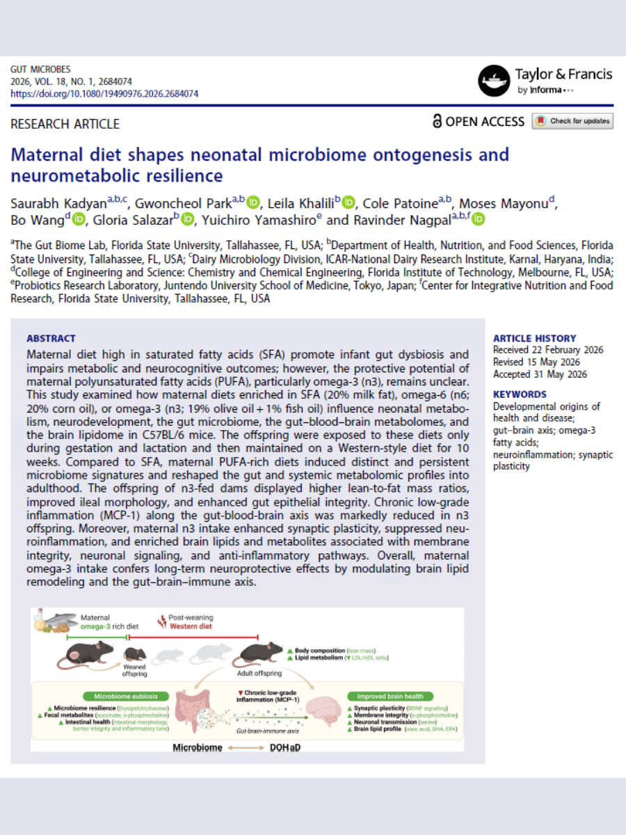Snapshot of page one of the publication titled: Maternal diet shapes neonatal microbiome ontogenesis and neurometabolic resilience